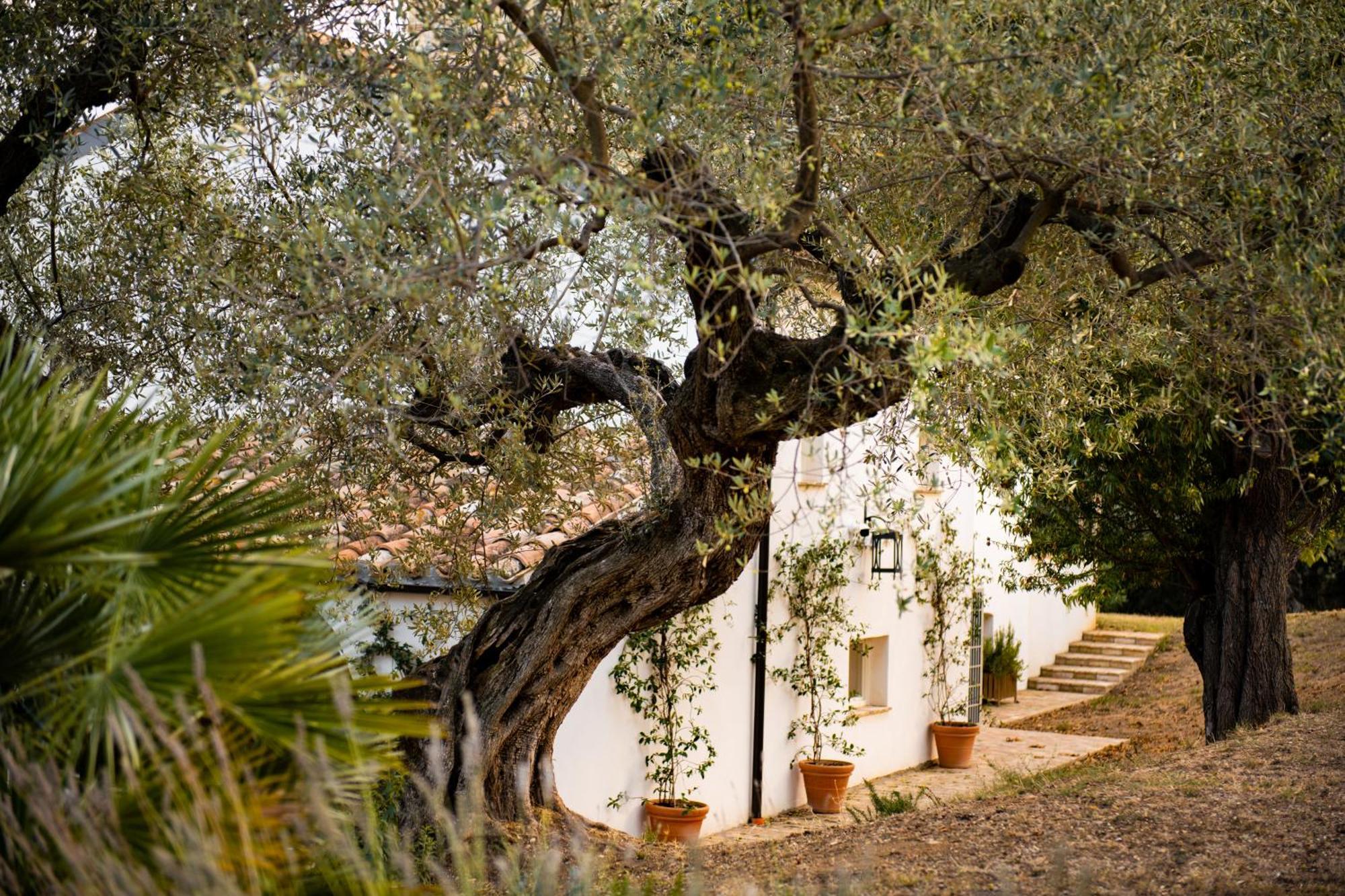 Casale Delle Lavande チッタ・サンタンジェロ エクステリア 写真